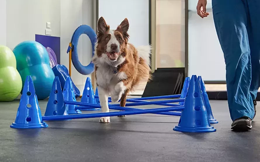 Rehabilitacja KINEZYTERAPIA